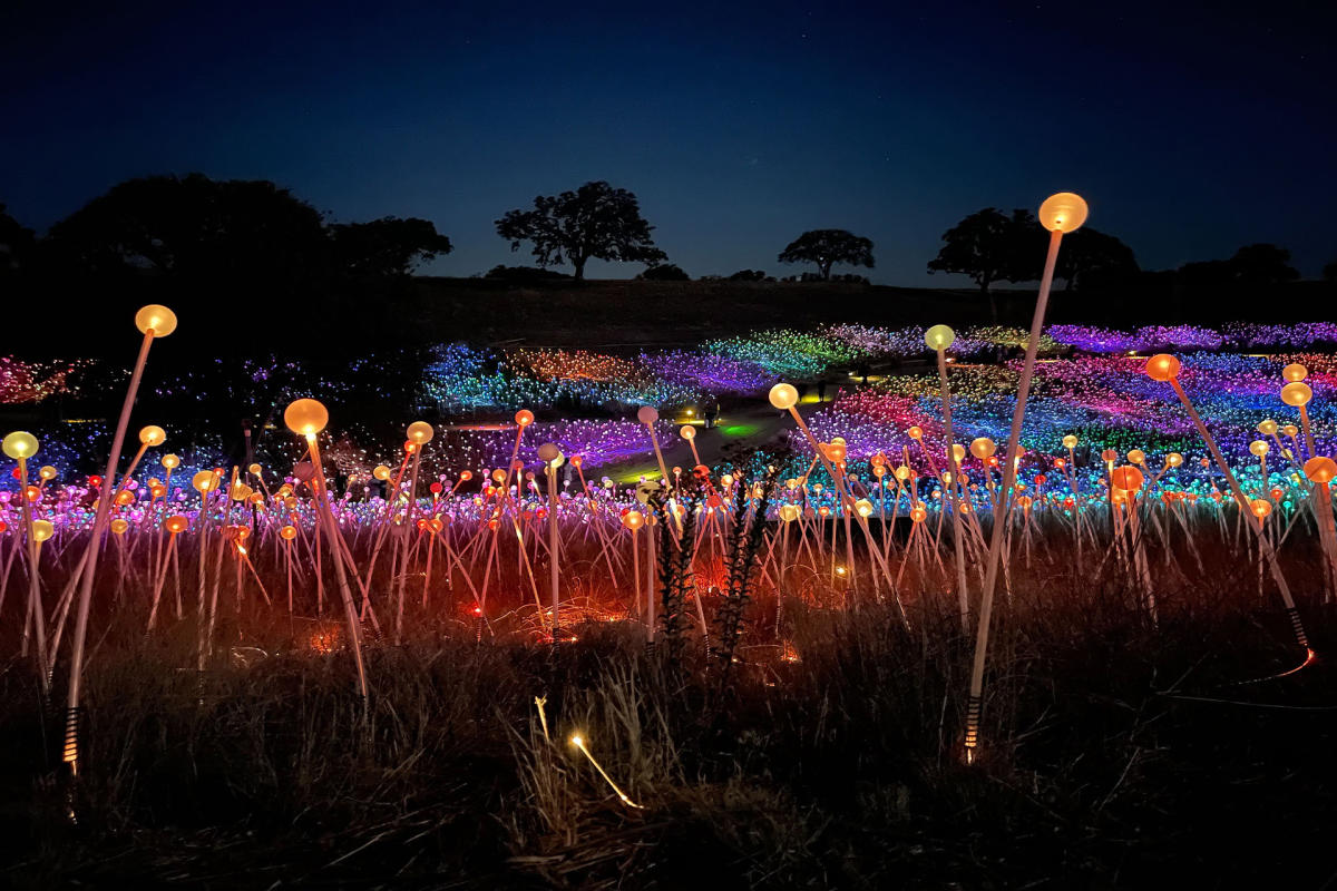 Lights at Sensorio