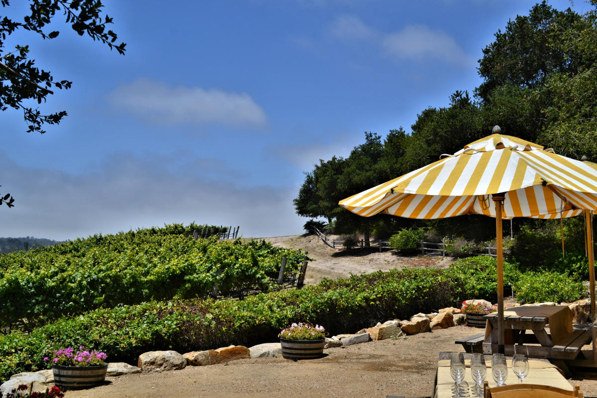 Talley Winery