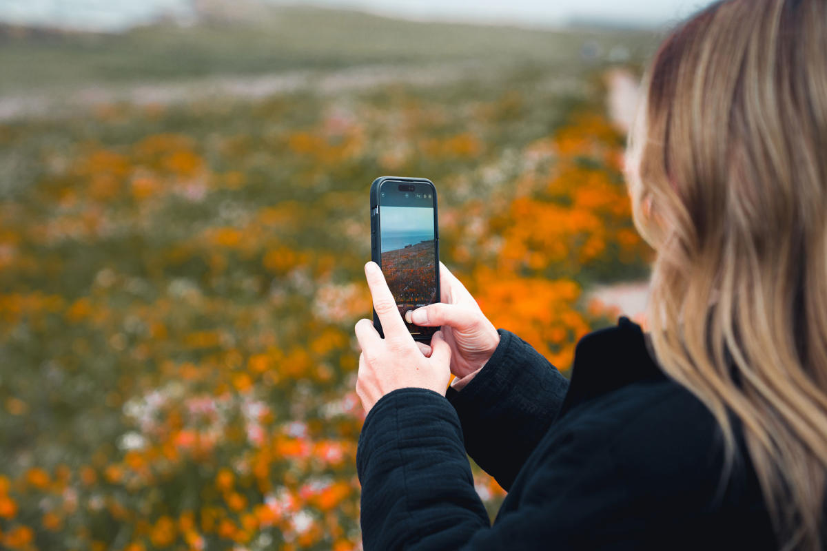 girl taking photos of the wildflowers in SLO CAL