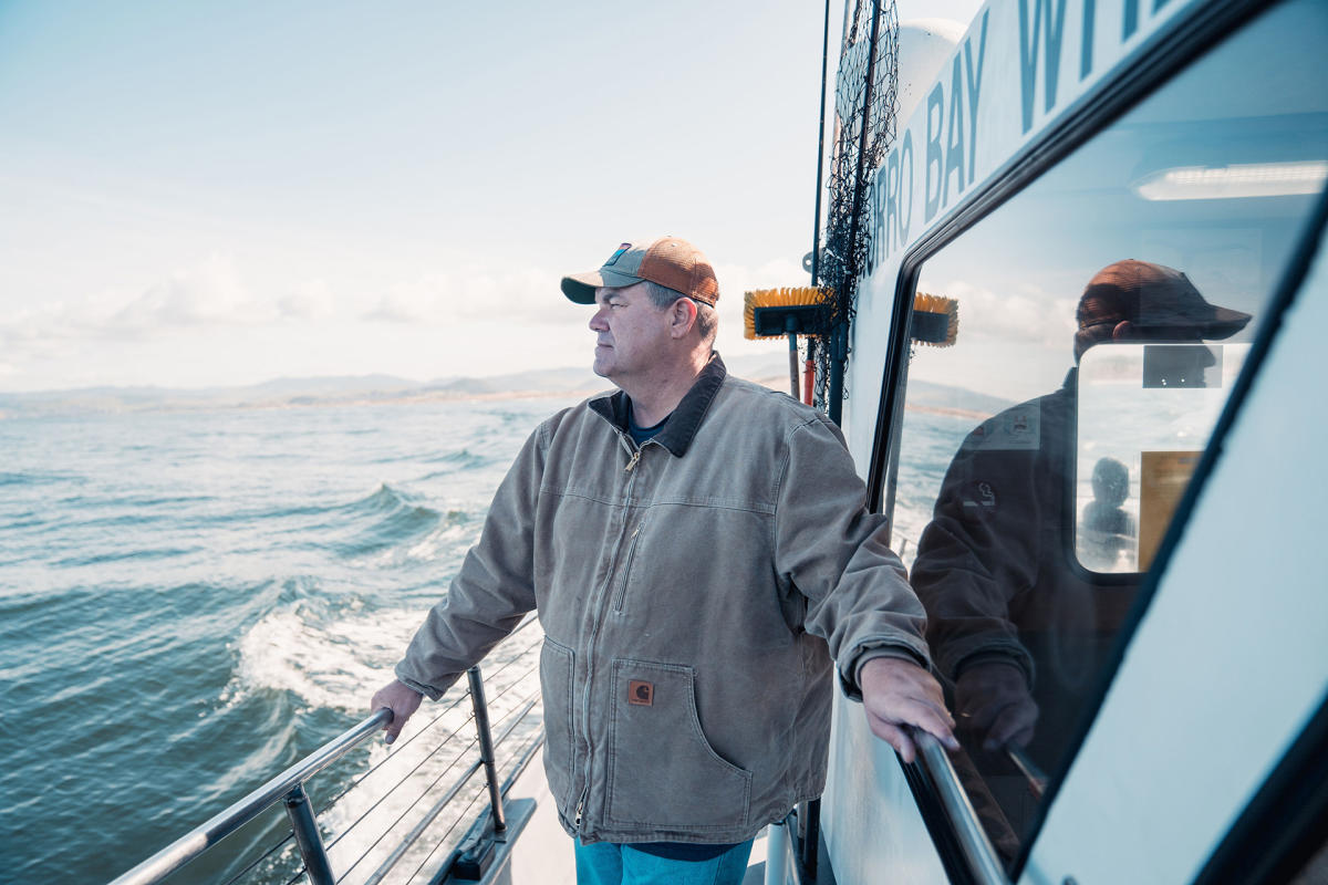 Whale watching tour guide in Morro Bay