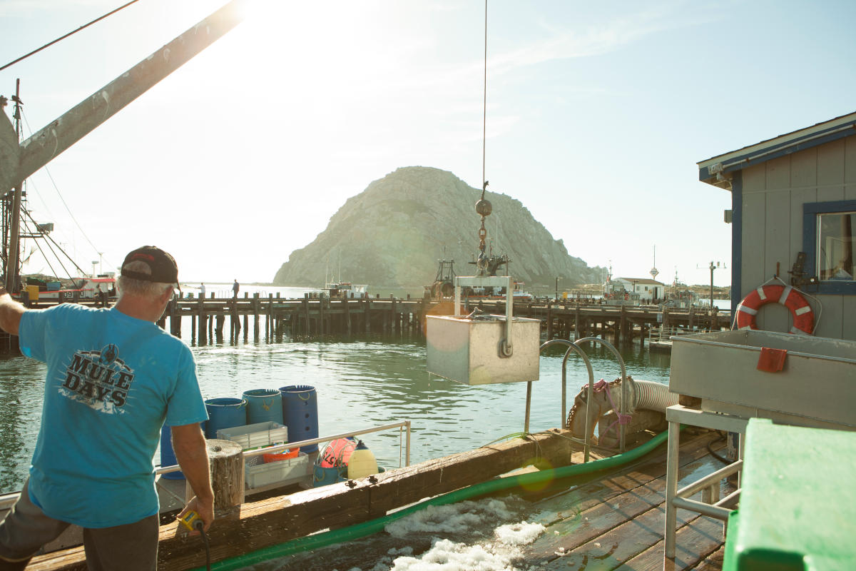 Morro Bay Fishermen