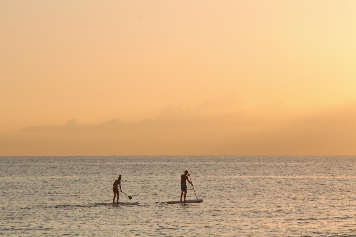 two people paddle boarding in the ocean