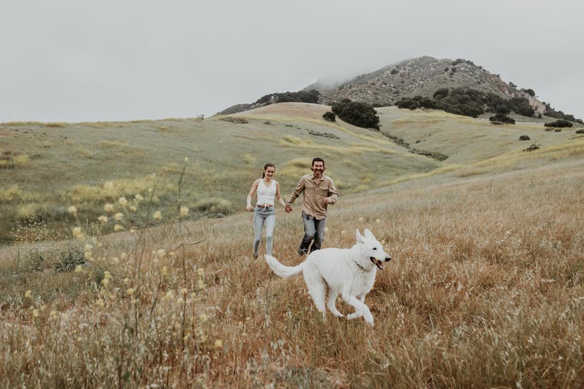 dog and owners running through field on a hike