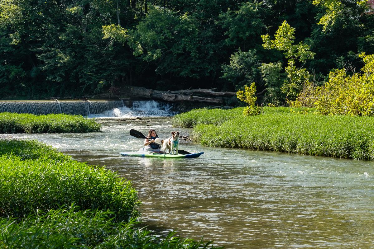 Cave Country Canoes