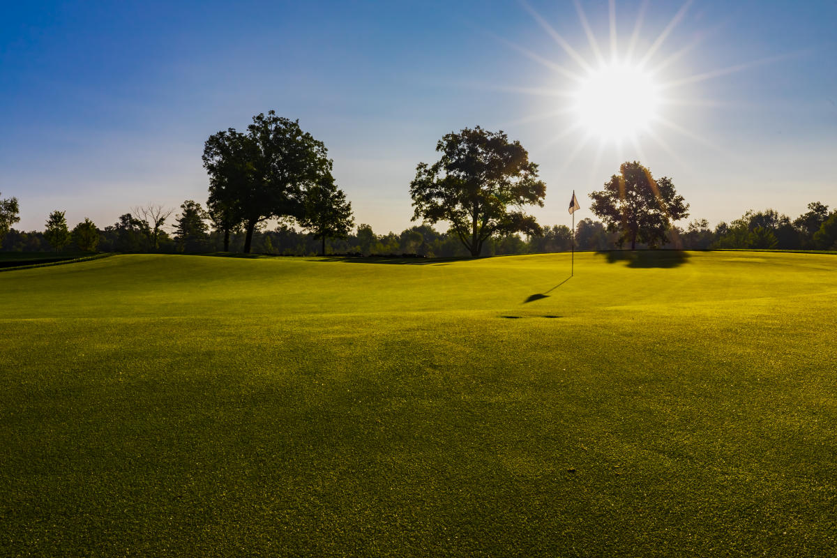 SentryWorld Golf Course Green on a sunny summer day