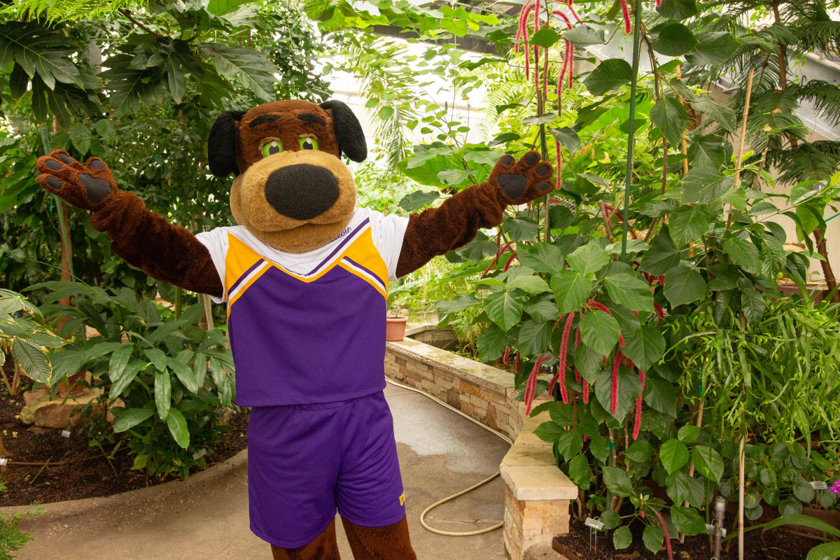 Stevie in Conservatory