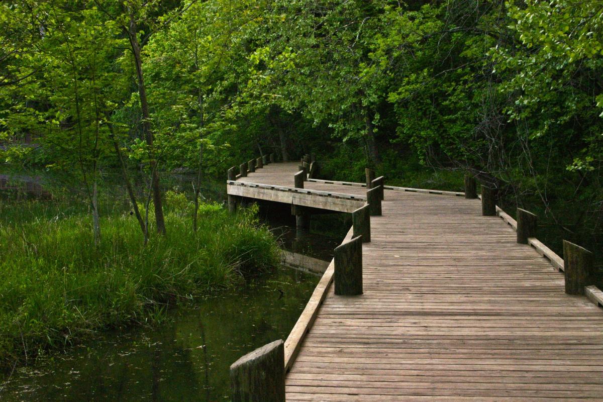 Springfield Conservation Nature Center