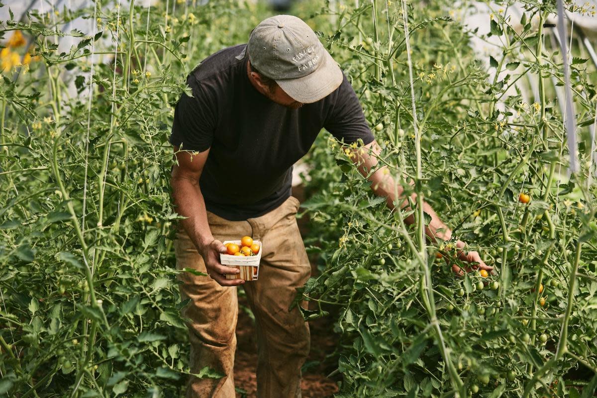 Finley Farms Plant Sale