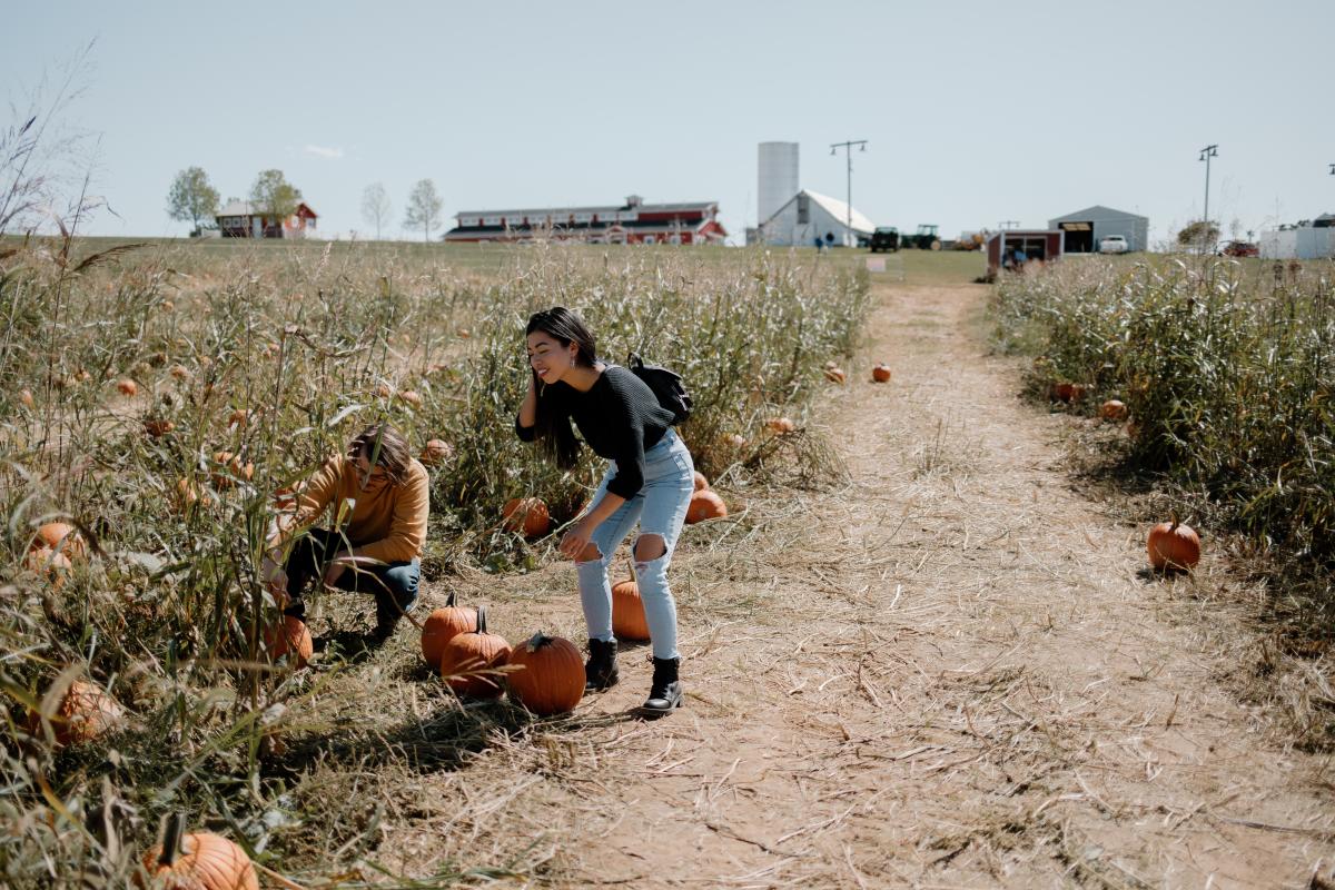 Rutledge Wilson Farm Park Pumpkin Patch