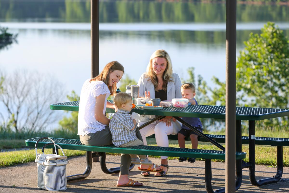 Fellows Lake Picnic