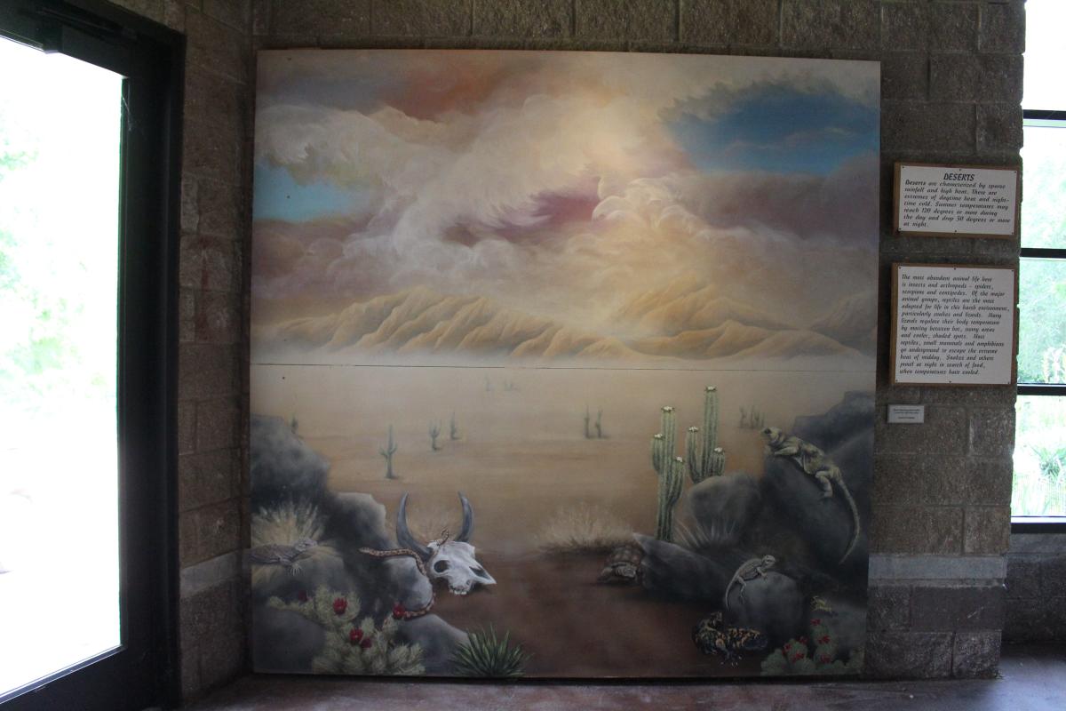 Desert Mural