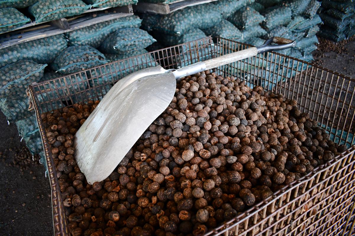 Hammons Black Walnuts