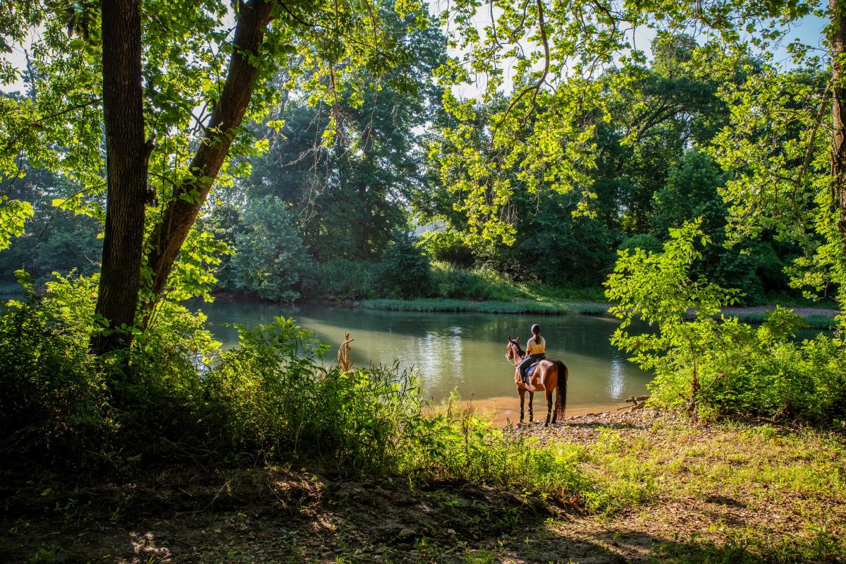 Horseback Riding in Springfield, Missouri