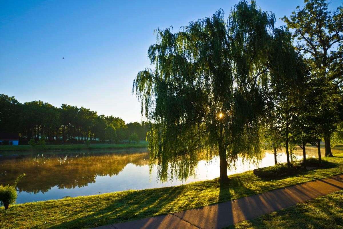 Nathanael Greene Park