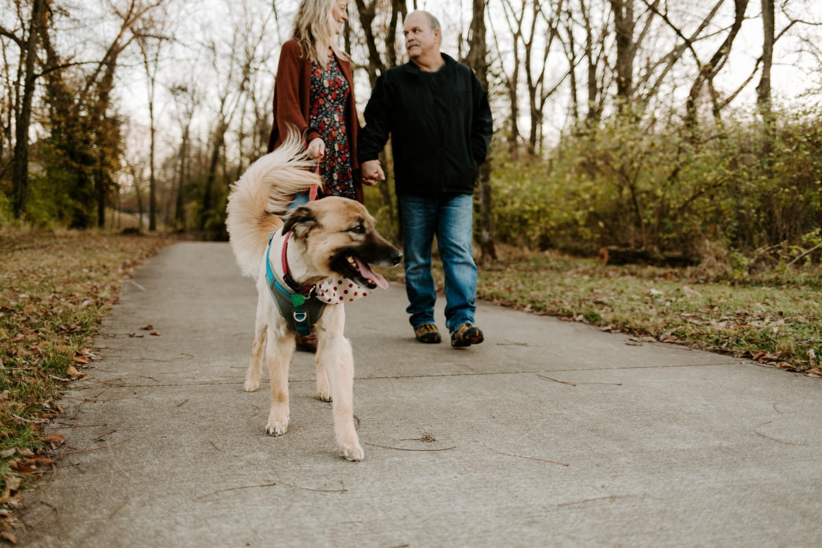 Dog-Friendly Springfield