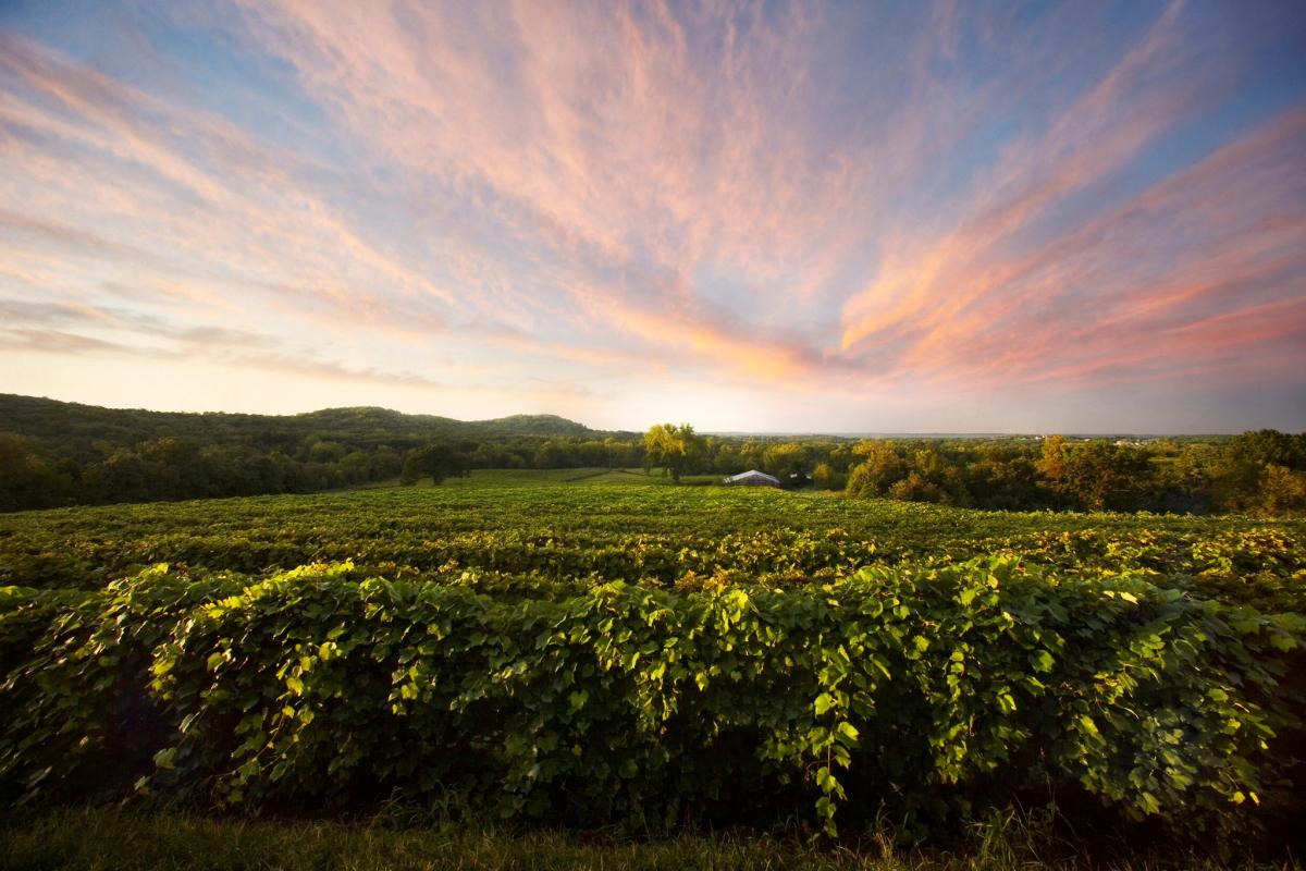 Augusta Winery