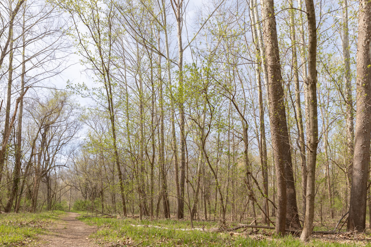 August A. Busch Conservation Area and Nature Center