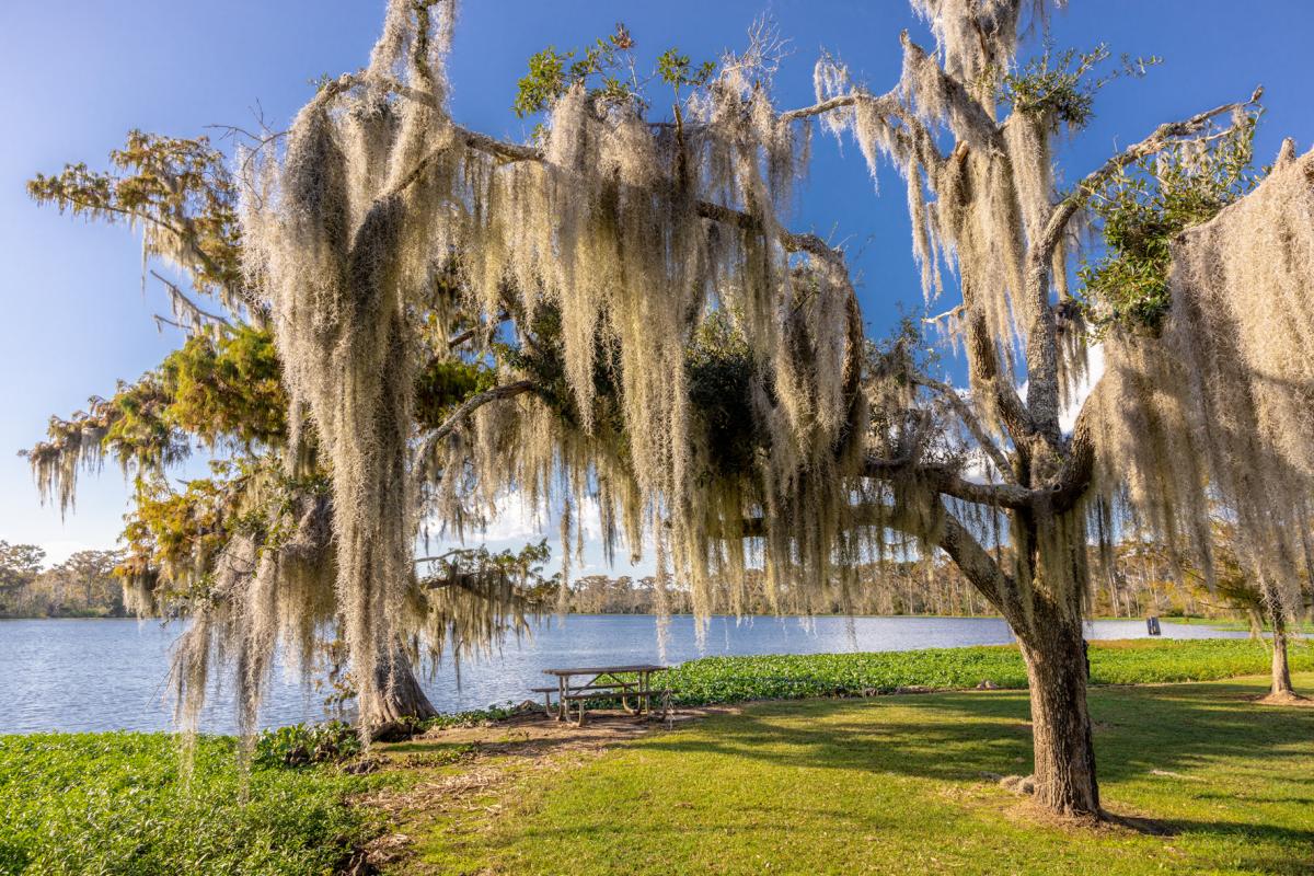 Fairview-Riverside State Park