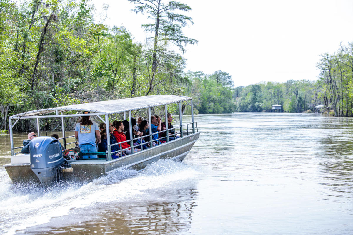Dr. Wagner's Honey Island Swamp Tour
