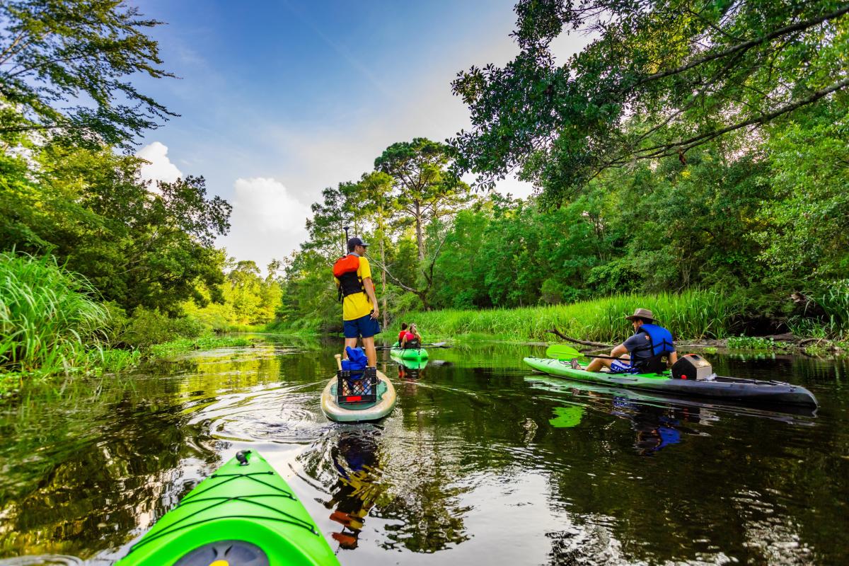 Kayakers and a paddleboarder explore the calm, tree-lined waters of Cane Bayou near Lacombe.