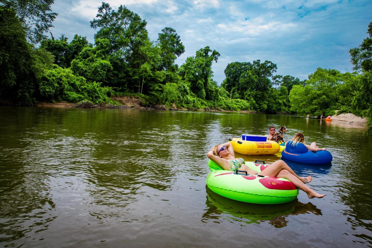 Three people and a dog float down the Bogue Chitto River on colorful inner tubes, surrounded by lush green forest on a warm summer day.