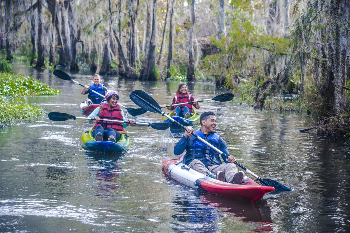 Four kayakers paddle through Honey Island Swamp on a Cajun Encounters kayak tour, surrounded by cypress trees and Spanish moss