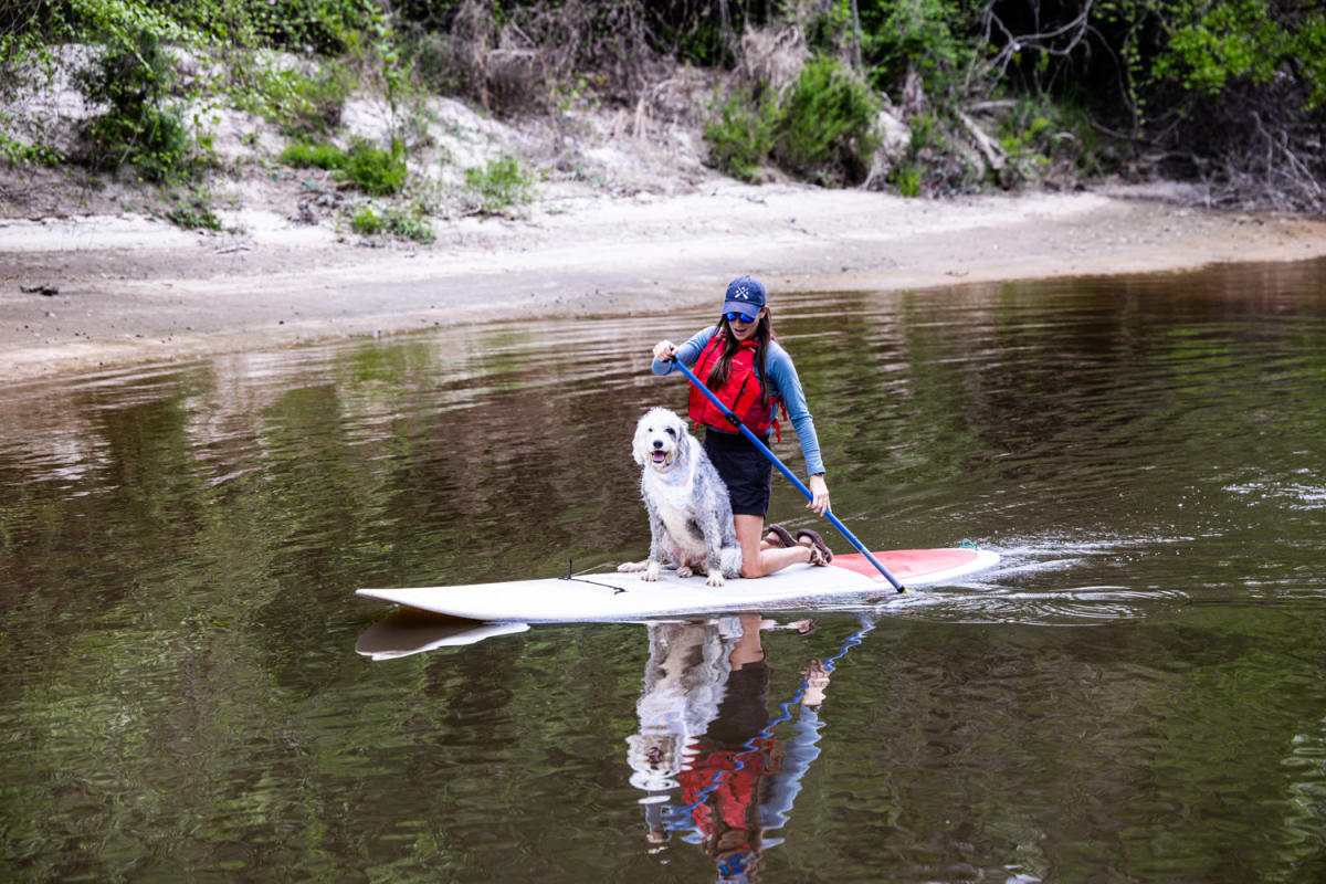 A woman and her dog ride a standup paddleboard on the Bogue Falaya River.