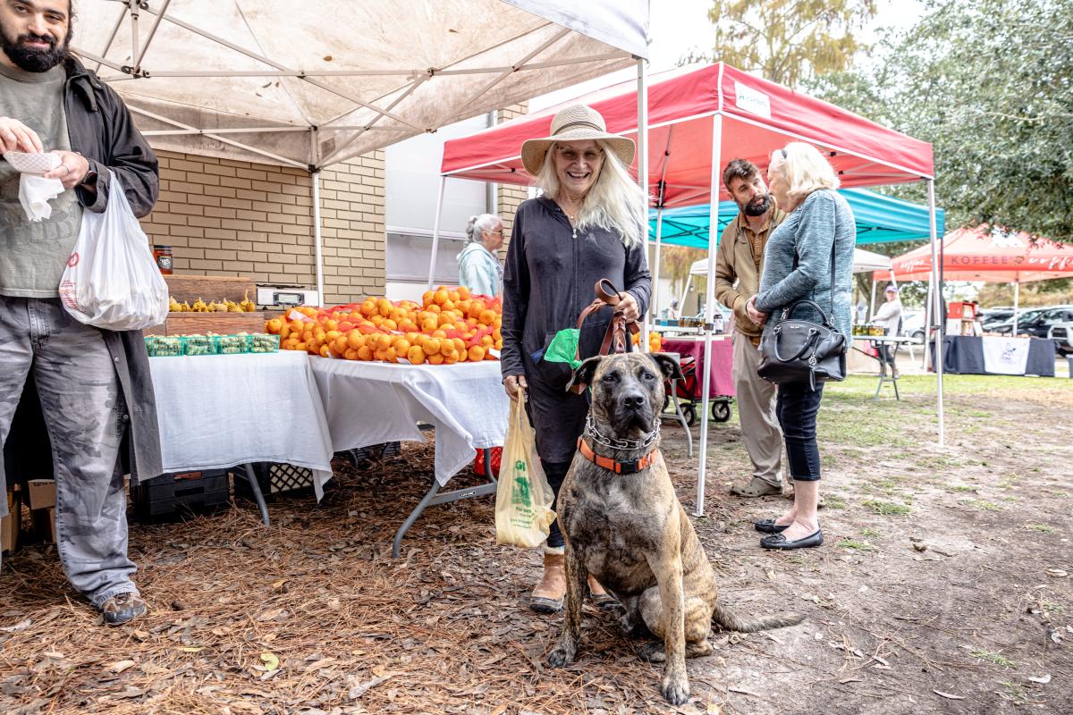 A Covington Farmers Market shopper and her dog shop for fresh Louisiana citrus.