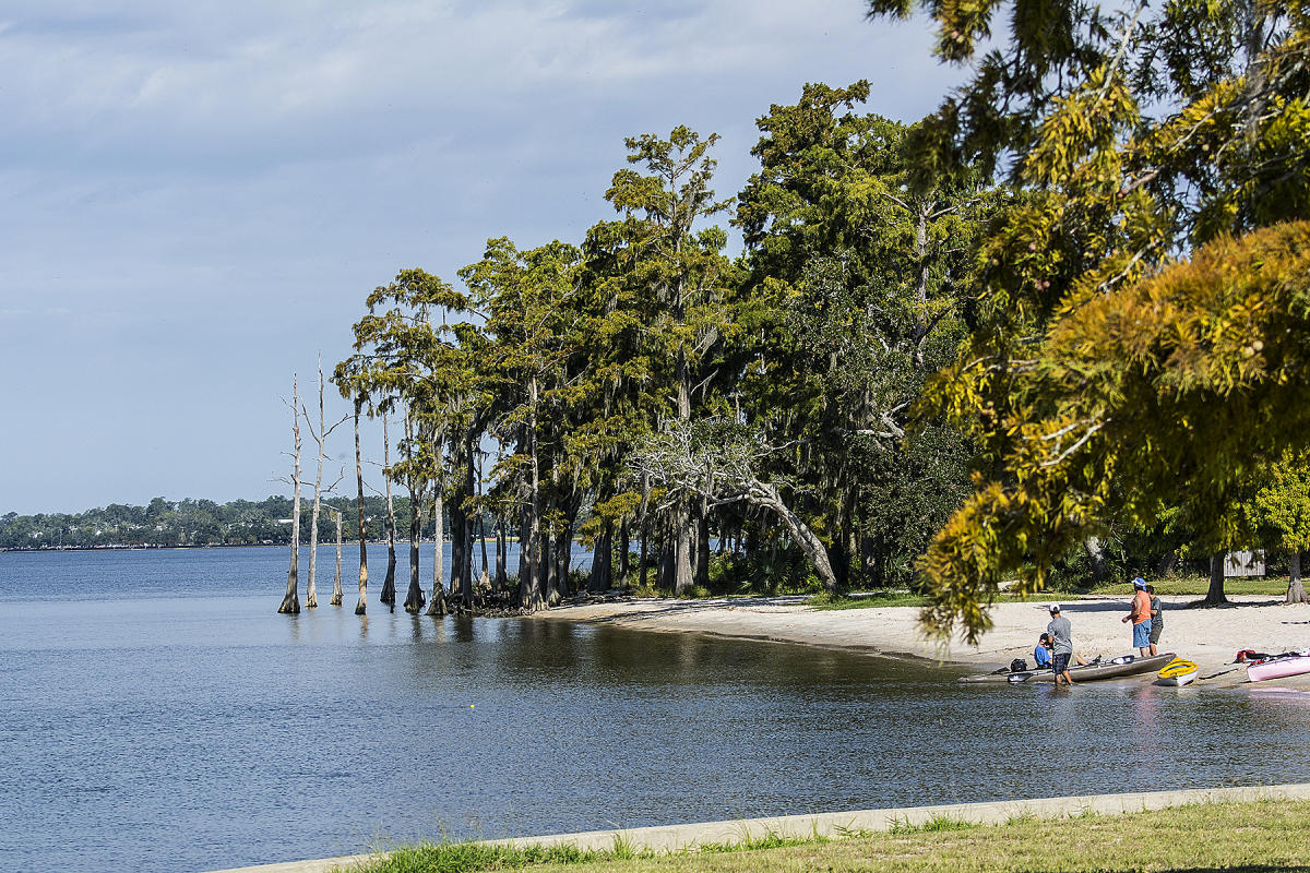 Fontainebleau State Park