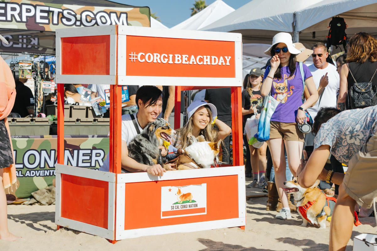 Corgi Beach Day in Huntington Beach