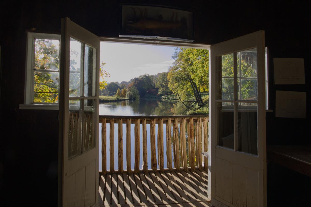Winkworth Arboretum - National Trust Images - Laurence Perry