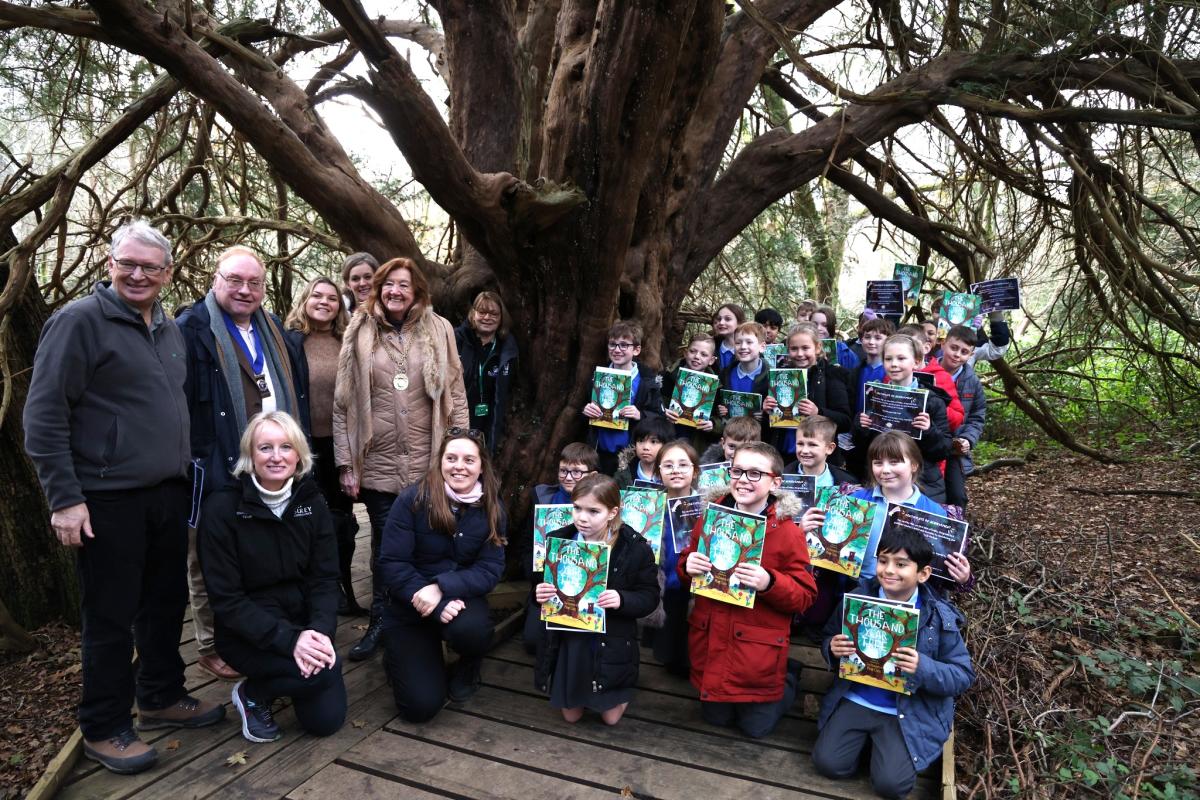 The Story of Surrey’s Thousand Year-Old Trees at Newlands Corner - Kate Bannister