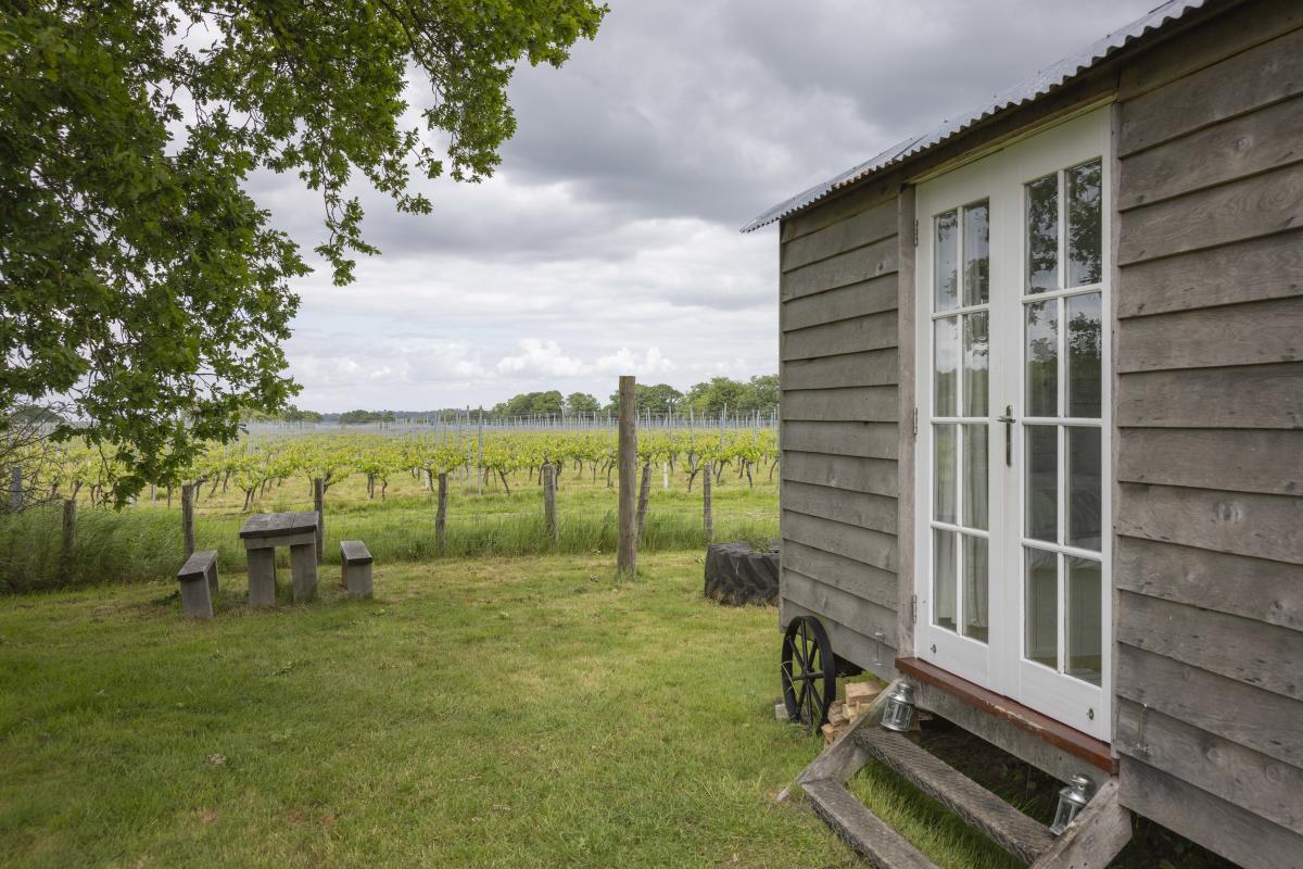shepherd’s hut at oxney organic