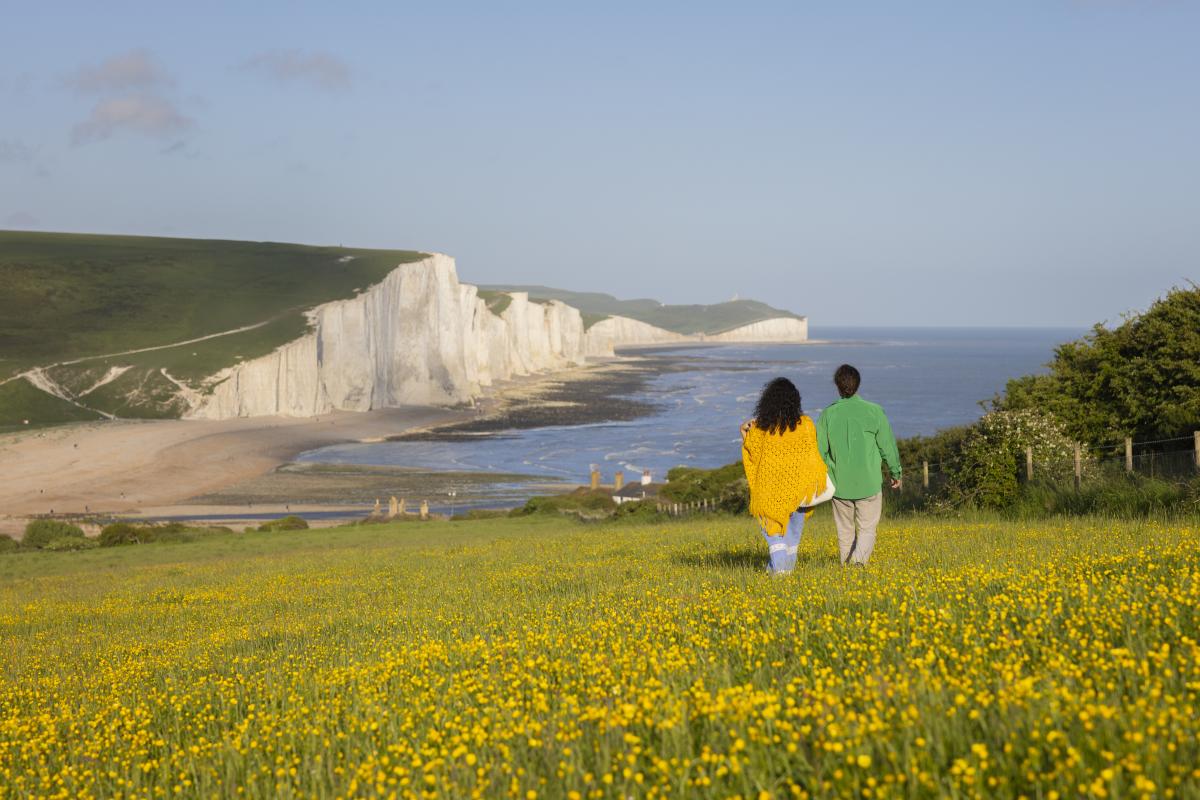 A couple walk across a yellow wildflower meadow on Seaford Head, looking towards the white cliffs of Seven Sisters