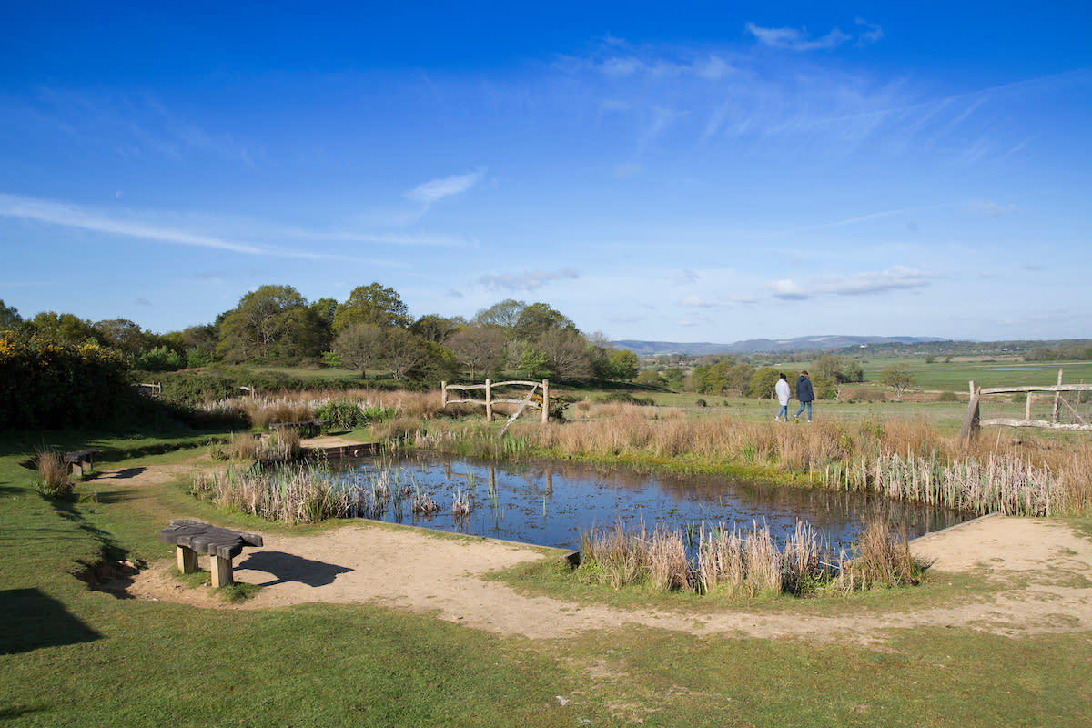 Pond and landcape at RSPB Pulborough Brooks