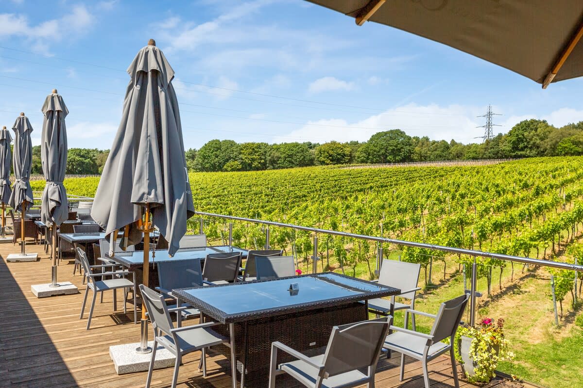 Bolney Wine Estate vineyard stretching away from a veranda with patio seating