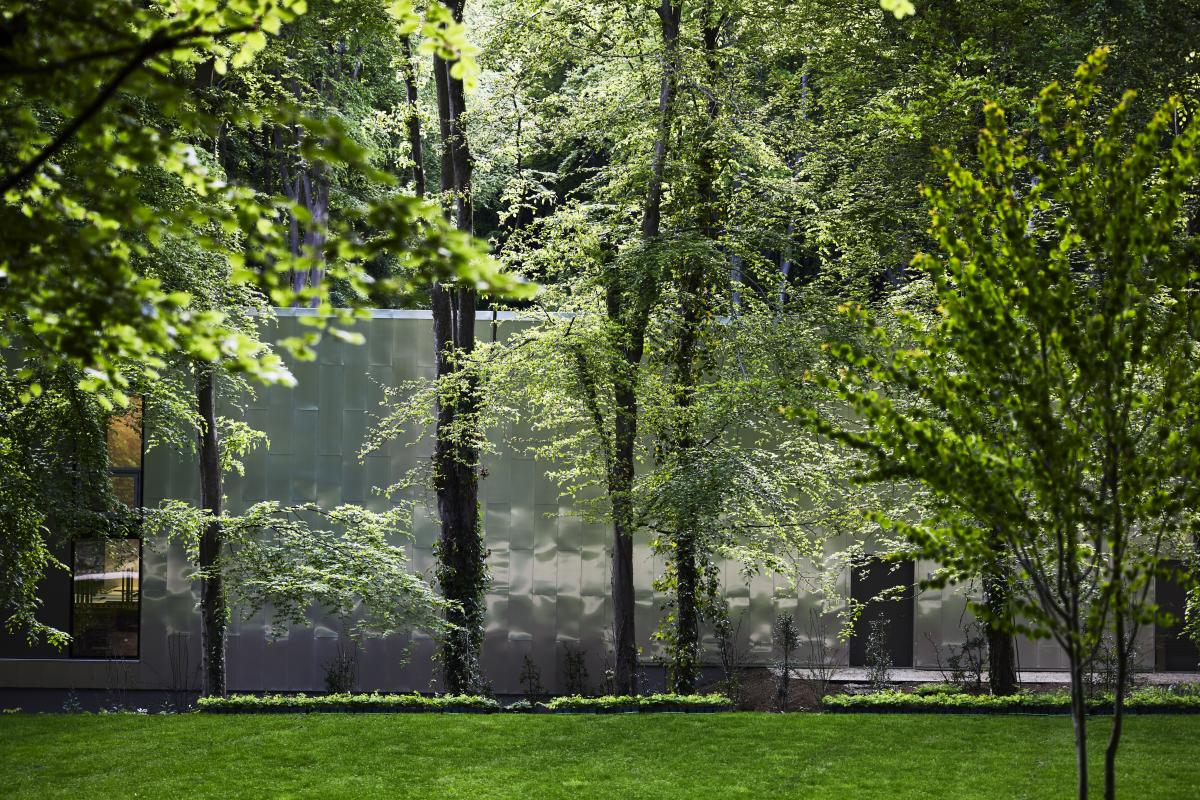 Goodwood Art Foundation in woodland