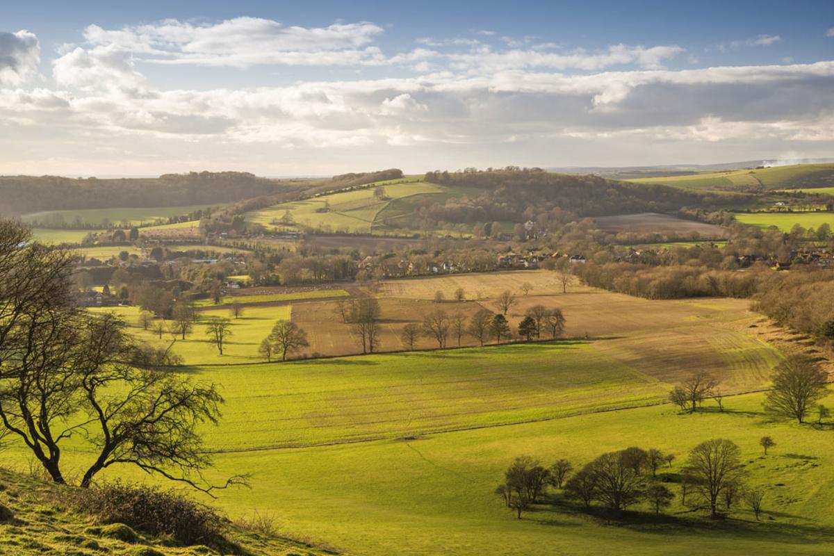 Rolling hills and trees looking towards Findon village in Sussex