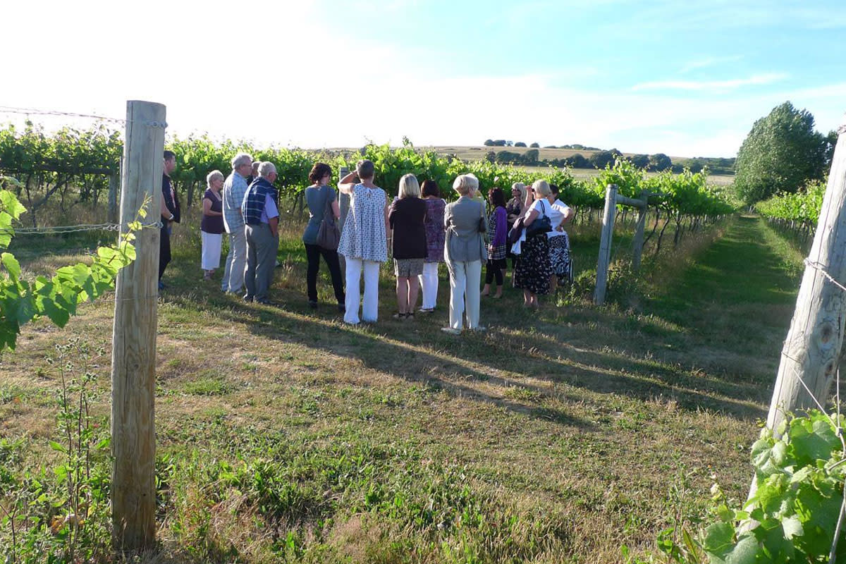 Highdown Vineyard