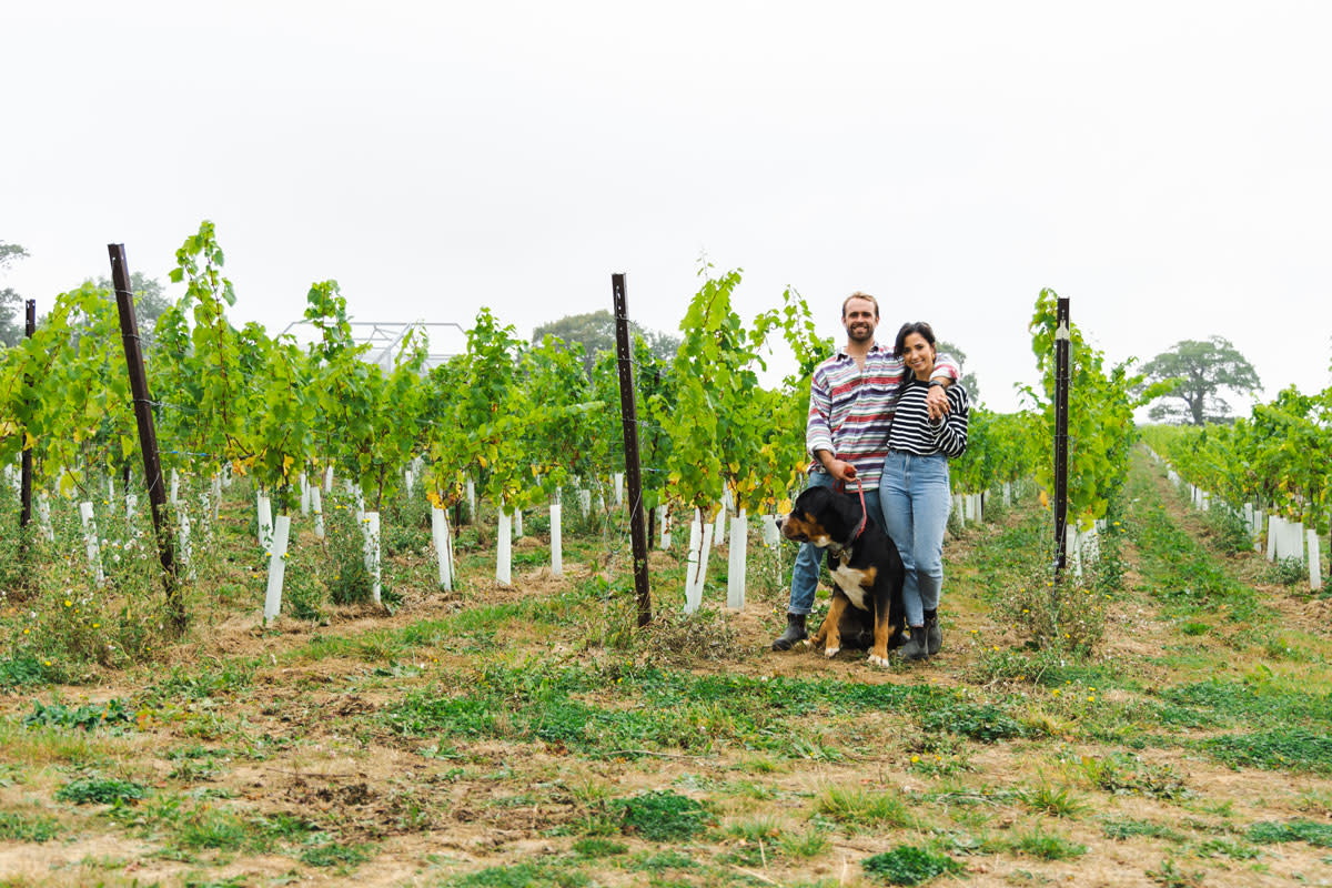 Couple with dog in vineyards at Kinsbrook Estate