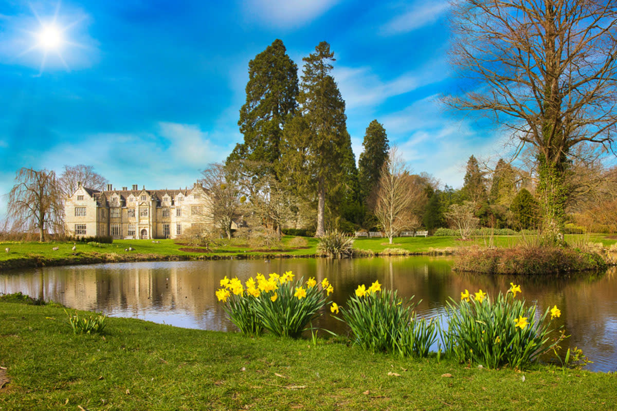 Wakehurst Garden