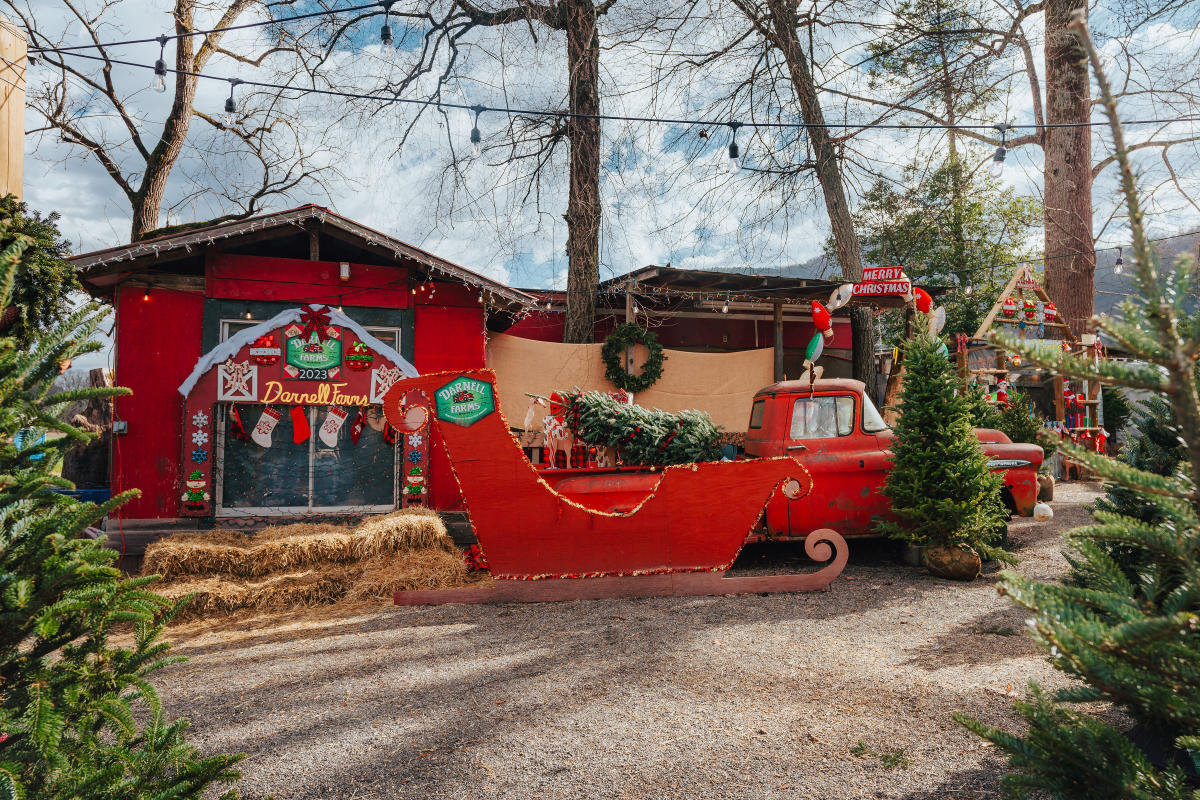 Darnell Farms Christmas