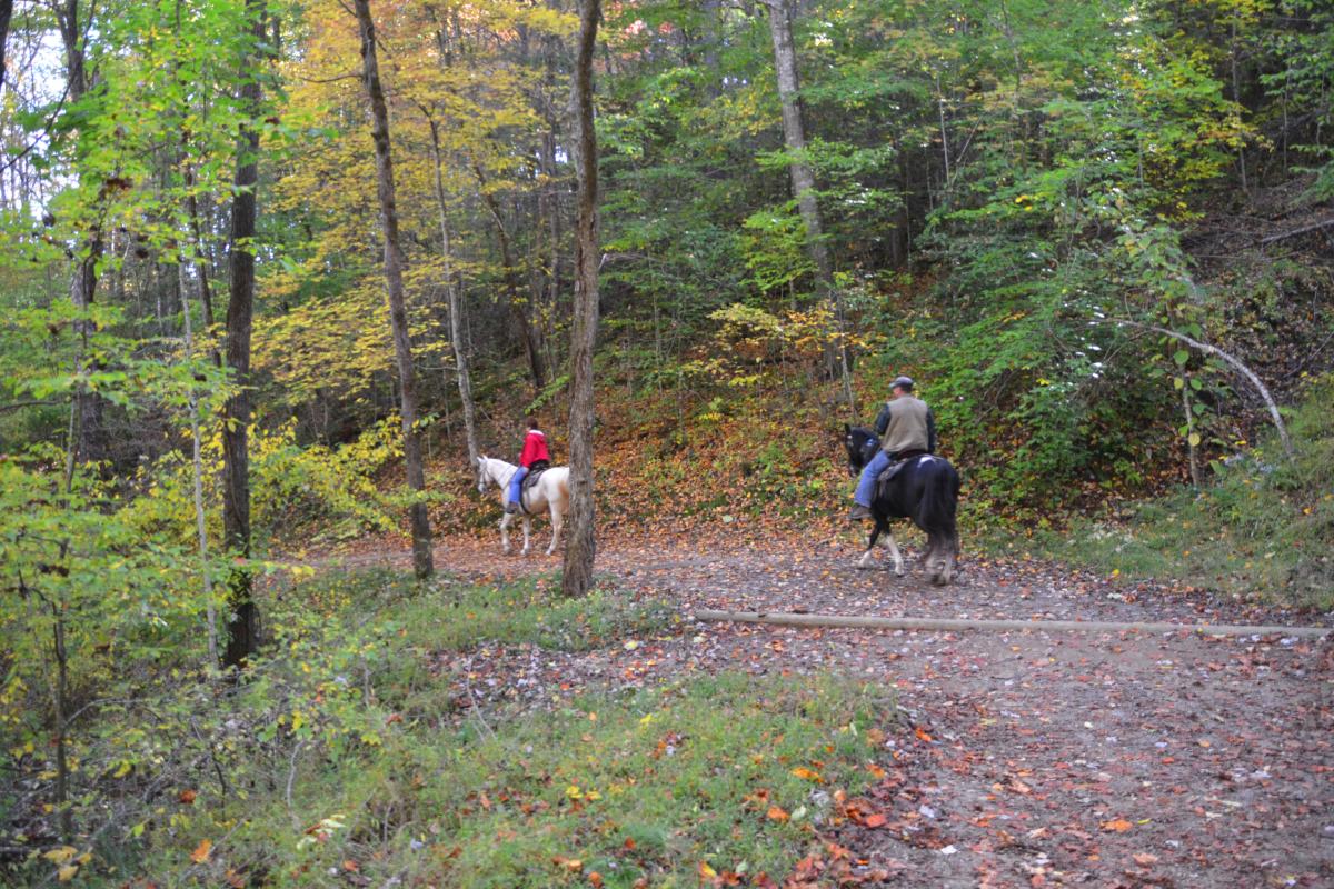 Horseback Riding