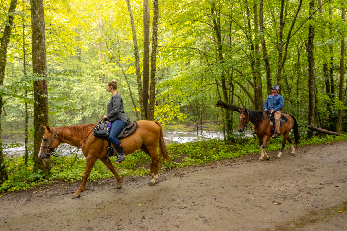 Horseback Riding