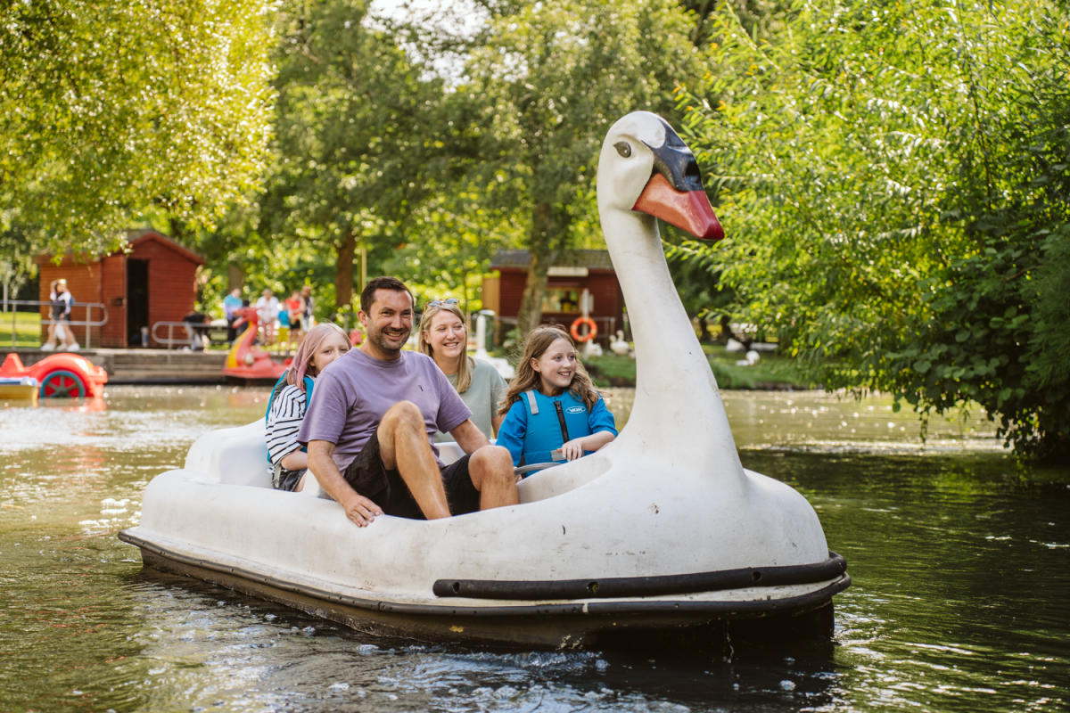 Family riding a swan pedalo in singleton park