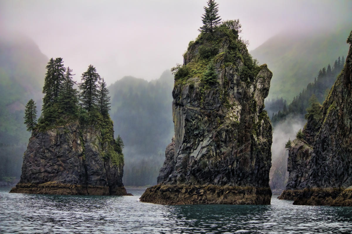 Alaska Kenia Fjords Seward