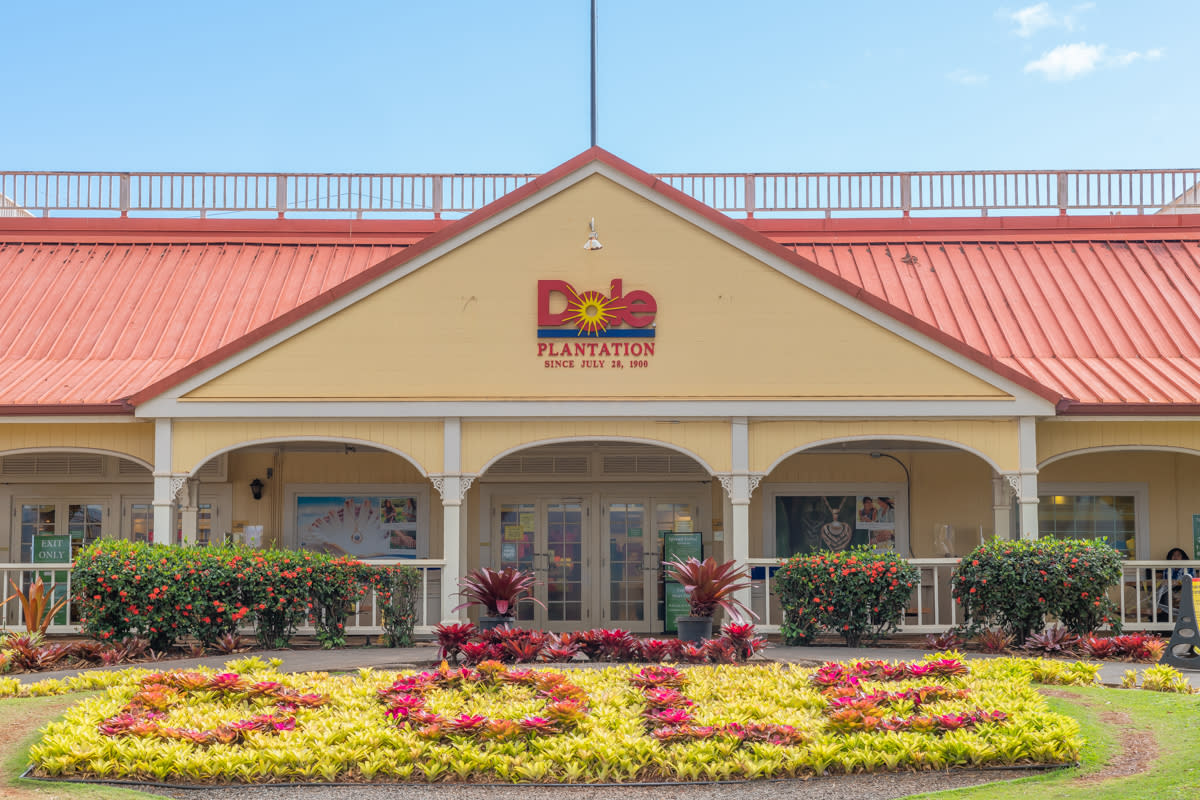 Dole Planation Tour