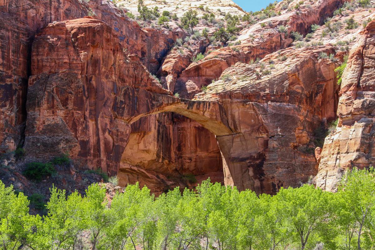 Escalante Natural Bridge, Escalante Canyon