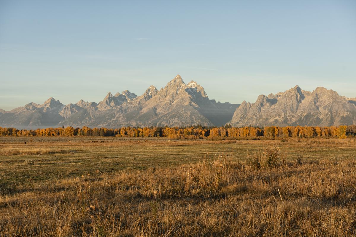 Fall in Grand Teton
