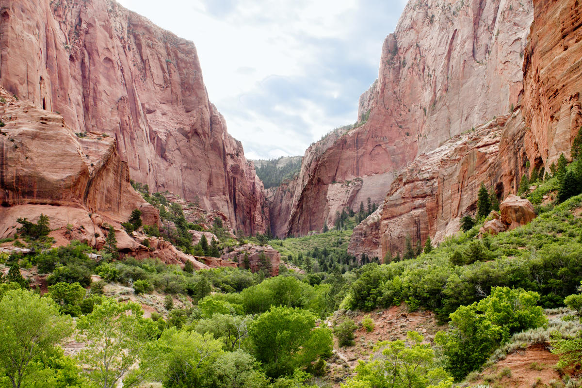 Zion Kolob Fingers